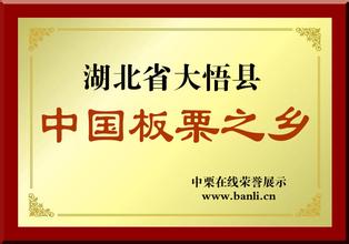 大悟板栗